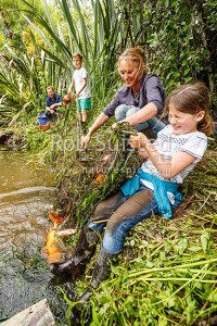 Stu Muir and Kim Jobson, netting pest Koi Carp fish from the Waikato River wetland, with kids Hazel and Sandy, Aka Aka, Franklin (54057QF00)