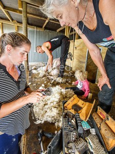 Marg Baynes & daughter Ingrid Smith (left) set a world shearing record together in 2009. Here tuning gear, with champion shearer and husband Rowland Smith behind, Wairoa, Wairoa (54095QF00)