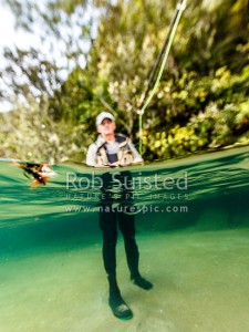 Clean water! Mike Barton of Taupo Beef enjoys trout fishing in Lake Taupo. Low nitrogen caps seek to protect water quality, vital to recreational activities on Lake Taupo, Waihaha, Lake Taupo, Taupo (54105RJ00)