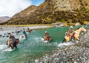 Mustering team heading upriver to begin the autumn merino muster. Horses, musterer's and dog team crossing the upper Shotover River. James Murray, station manager, at right, Branches Station, Shotover Valley, Queenstown Lakes (54411QF00)