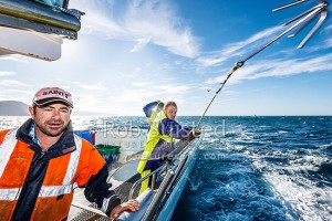 Calvin Muollo throws grapple with pinpoint accuracy, to snare the cray pot floats in Cook Strait. Skipper Tony Muollo and Brad Perkins look on. Missing the throw can draw great ridicule, Cook Strait, Wellington City (54439QF00)