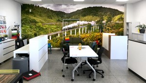 Office mural